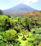 危地馬拉的咖啡莊園 火山腳下的危地馬拉咖啡園