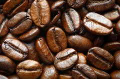 咖啡的起源和成分 咖啡的來源已無從稽考