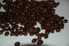 EL Salvador香格里拉莊園咖啡豆 精品豆情況