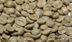 微距下的咖啡豆 巴西 黃波本咖啡豆 【Bourbon, Brasil】