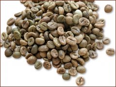 精品豆推薦 老撾中粒咖啡豆圖片（Lao Robusta）