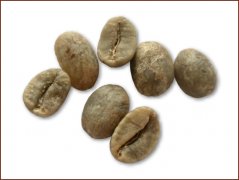 精品豆推薦 尼加拉瓜咖啡豆圖片（Nicaragua)
