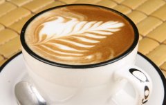 精品咖啡豆的基礎常識  公豆母豆典故