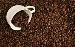 咖啡豆的基礎常識 危地馬拉咖啡（Guatemala Coffee)