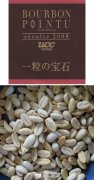 咖啡豆品種介紹 波旁尖身Bourbon Pointu