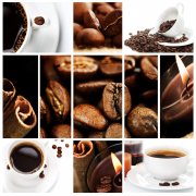 咖啡中所含的各種酸性物質分析 咖啡基礎常識