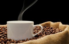 咖啡的長成周期及採摘 咖啡豆是咖啡樹結的籽