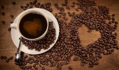 神經系統——喝杯咖啡，爲啥就來精神？