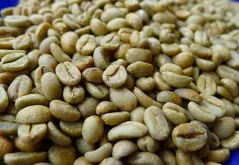 埃塞俄比亞咖啡豆品級分析 埃塞俄比亞咖啡豆分爲五級