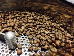 咖啡豆成分詳細分析 礦物質碳水化合物
