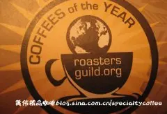 SCAA(美國精品咖啡協會)2011年度全球最佳咖啡