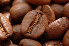 如何判斷咖啡豆的新鮮度？ 聞、看、剝
