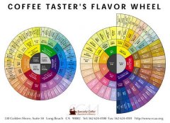 SCAA風味輪 Coffee Tasters Flavor Wheel 中英雙語 PDF下載