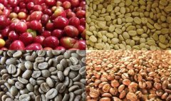埃塞俄比亞咖啡的豆相與分級 咖啡豆是怎樣分級的？