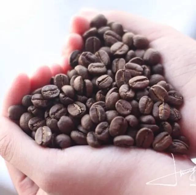 咖啡豆烘焙從生豆到熟豆變化 如何判斷會問點轉黃點一爆點二爆點
