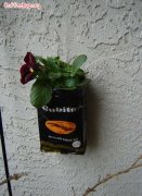 咖啡豆喝完了包裝袋直接扔掉？還可以拿來養花哦！