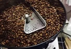 咖啡豆 G1 G2 G3 G4分別是什麼處理方法？