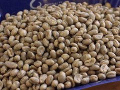 埃塞俄比亞咖啡豆的等級制度 咖啡豆常識 埃塞咖啡的歷史故事