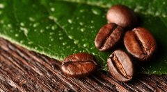 取決咖啡豆是酸還是苦的最直接因素 咖啡豆的烘焙
