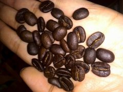 黃金曼特寧咖啡豆就一定是不太酸的嗎？