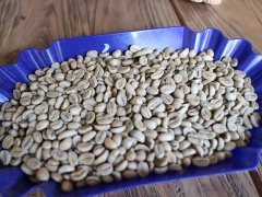 咖啡銀皮對風味的影響 咖啡豆銀皮問題