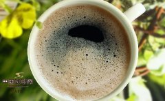 咖啡凍的做法 用咖啡做零食的配方