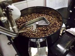 羅布斯塔 世界上最主要的咖啡樹品種之一