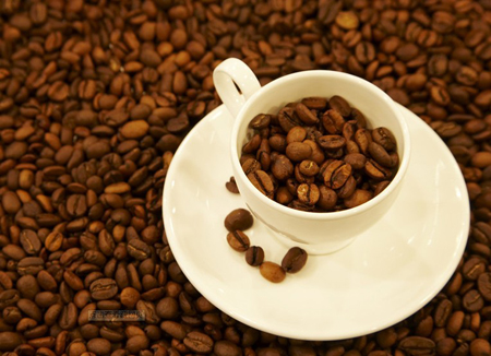 咖啡風味輪-世界第三波咖啡美學化