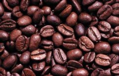 夏威夷科納咖啡的種植 夏威夷科納咖啡怎麼種的？ 夏威夷科納咖啡