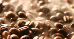 專利技術增加焙炒咖啡豆中的多酚類物質含量 怎麼加工咖啡豆 正確