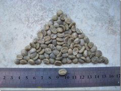 如何洗咖啡生豆 如何清洗咖啡生豆？ 怎麼處理咖啡生豆？ 怎麼清