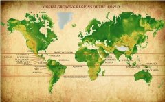主要產國及其著名的咖啡豆產地 什麼地方出產咖啡？ 咖啡哪裏才正