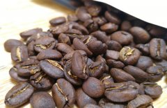 阿里山咖啡豆-臺灣的驕傲 什麼臺灣咖啡質量好？ 臺灣咖啡如何？