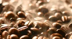 教你如何甄選咖啡豆 如何挑選咖啡豆？ 如何選擇咖啡豆？ 哪種咖
