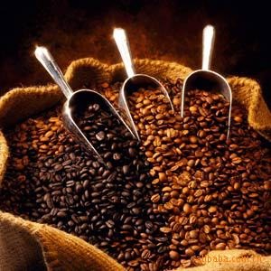 乾貨  咖啡的種類 咖啡豆的介紹 十六種不同產地咖啡豆