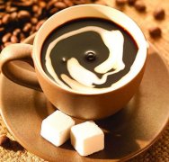 咖啡飲料的種類 拿鐵 黑咖啡 白咖啡 濃縮咖啡 卡布奇諾 焦糖瑪奇