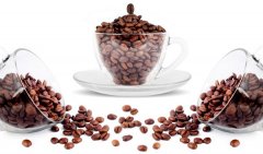 咖啡豆介紹 小圓豆 咖啡豆的特點 咖啡豆的採摘 咖啡豆是什麼？