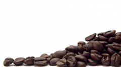 牙買加精品咖啡產地介紹 牙買加精品咖啡獨特之處 牙買加咖啡的口