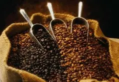 拼配咖啡豆 精品咖啡豆 咖啡豆的介紹 不同的咖啡豆的區別 不同咖