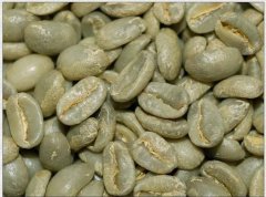 藍山精品咖啡豆 藍山精品咖啡介紹 藍山精品咖啡的獨特之處 藍山