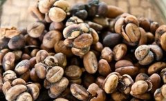 危地馬拉精品咖啡的介紹 危地馬拉精品咖啡獨特風味 危地馬拉精品