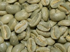 巴拿馬咖啡的發展簡史 巴拿馬精品咖啡莊園 精品咖啡 品咖啡的口