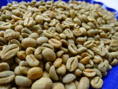 埃塞俄比亞耶加雪菲日曬班其馬吉咖啡豆 精品咖啡 班其馬吉咖啡風