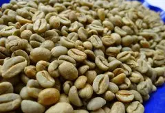 埃塞俄比亞耶加雪菲日曬班其馬吉咖啡豆 精品咖啡 班其馬吉咖啡風