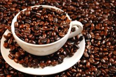 咖啡粉與咖啡豆所產生的風味影響 現磨咖啡豆與速溶咖啡粉不同之