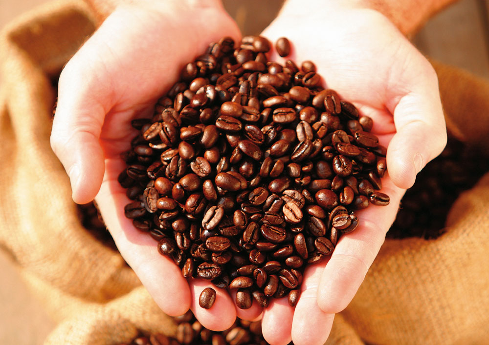 藍山咖啡 牙買加藍山的咖啡豆  藍山風味咖啡  來自藍山的咖啡
