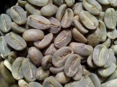 精品咖啡,臺灣水晶礦咖啡介紹 臺灣咖啡的歷史 臺灣咖啡的獨特風
