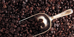 精品咖啡豆——埃塞俄比亞精品咖啡介紹 埃塞俄比亞咖啡的特點 埃