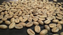 咖啡新品豆介紹——哥斯達黎加精品咖啡 哥斯達黎加咖啡特點 哥斯