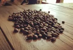 巴拿馬精品咖啡介紹 巴拿馬咖啡的特色 巴拿馬咖啡口感 巴拿馬咖